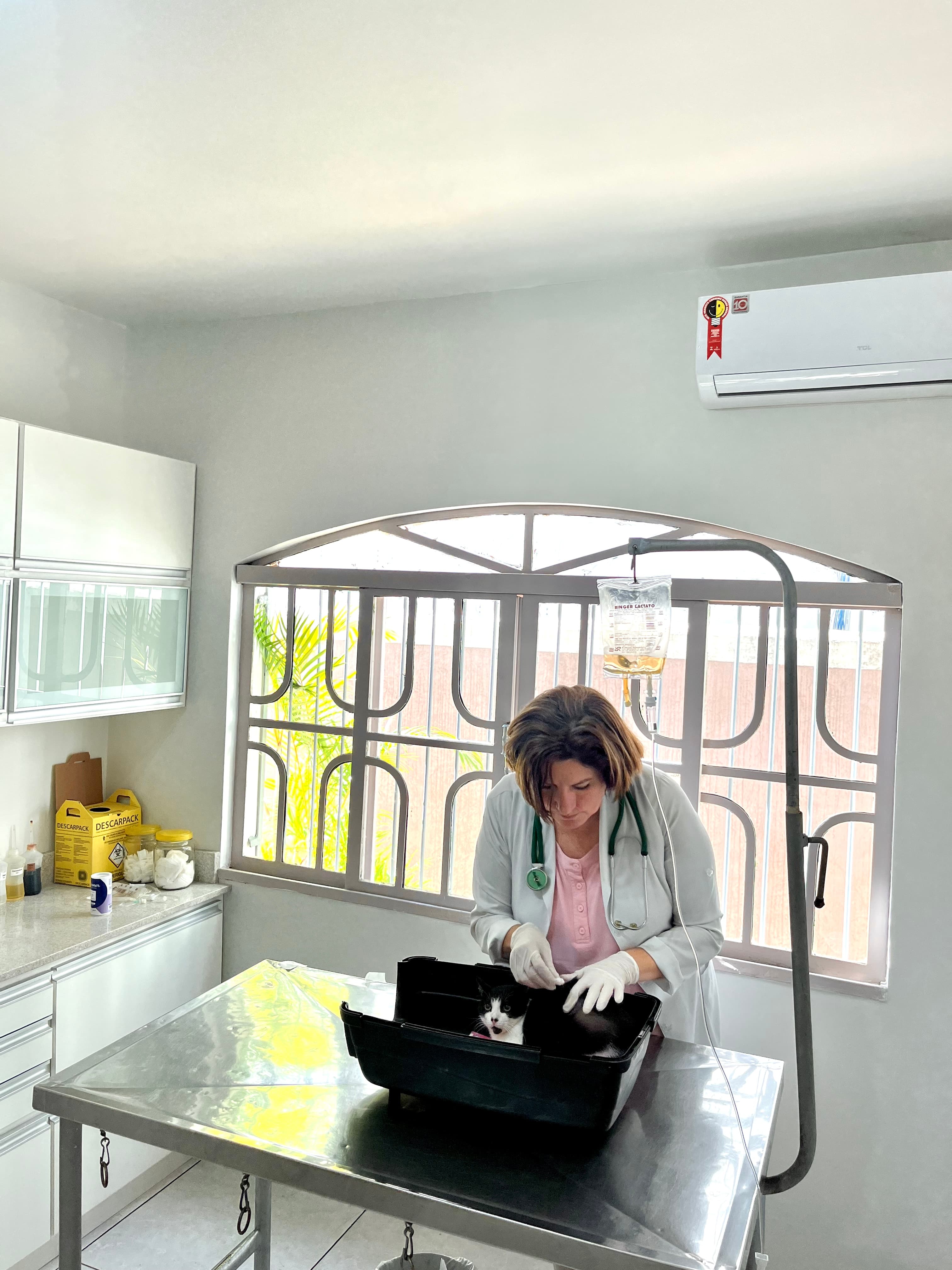 Equipe Clínica Veterinária Jardim Esther