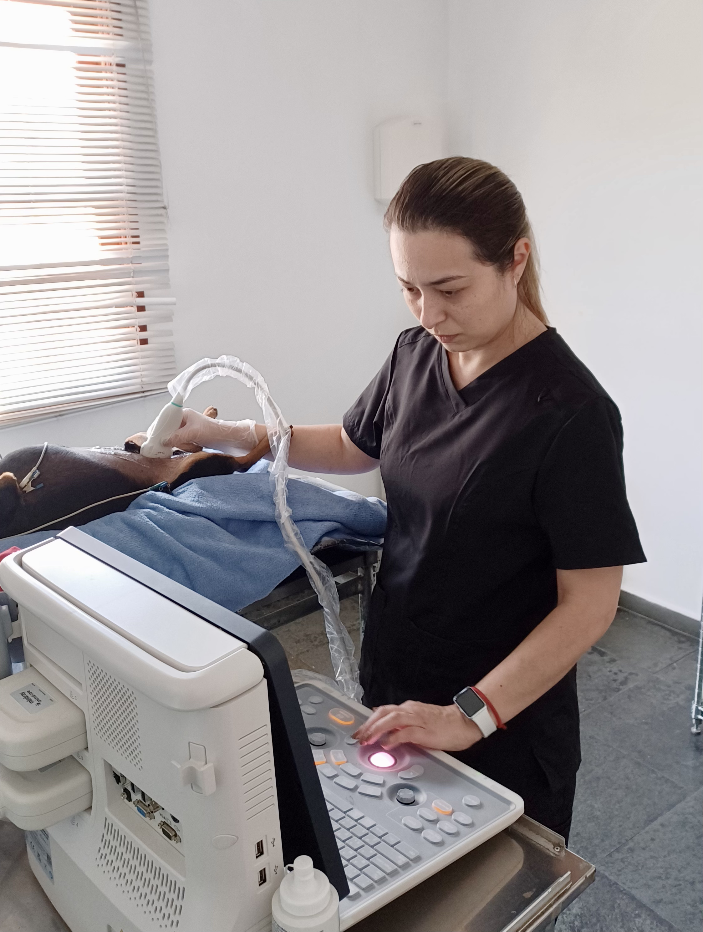 Exames Complementares para Diagnóstico Veterinário Preciso
